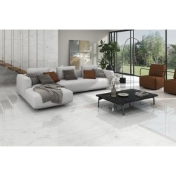 ONICE BIANCO 60X120