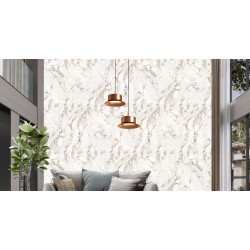 TREVI 60X120