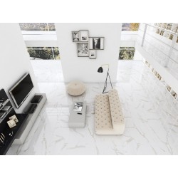 DOMUS 60X120