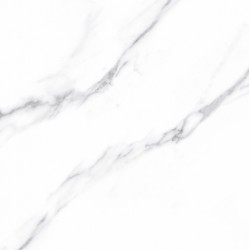 CARRARA MATT 60X60