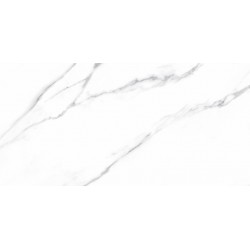 CARRARA MATT 60X120