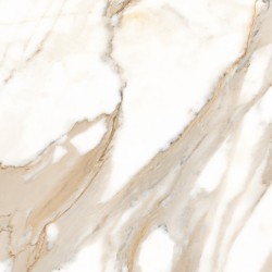 CALACATTA MATT 120X120