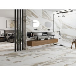 CALACATTA MATT 60X120
