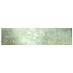 CALM MOSS 6X25