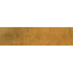 TOKYO WAIKIKI 6X25