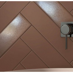 TERRA BROWN BRILLO +TERRA BROWN