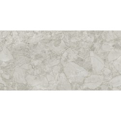 SILVERSTONE GREY 60x120