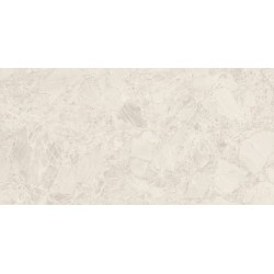 SILVERSTONE NATURAL 60x120