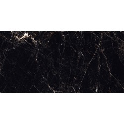 WINDSOR BLACK 60X120