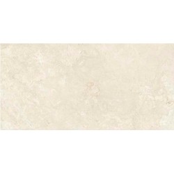 ANTICA AVORIO 60X120