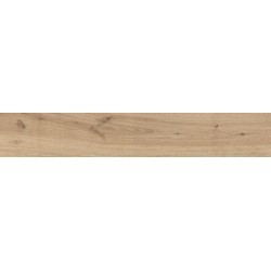 PLANK CHESNUT ANTISLIP 20X120
