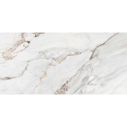 MARBLE APUANO MATE 60X120
